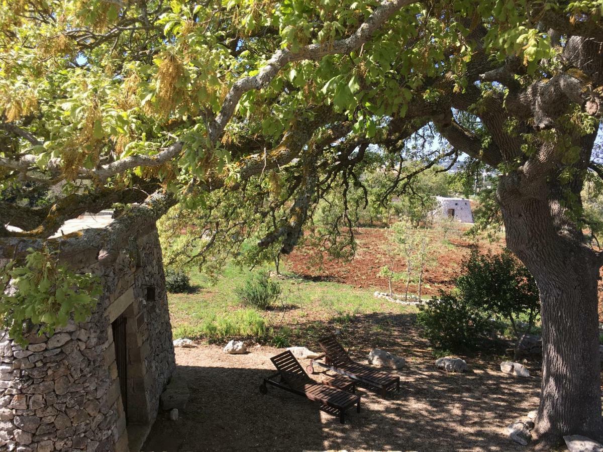 Agriturismo Le Fornelle ทริกาเซ ภายนอก รูปภาพ