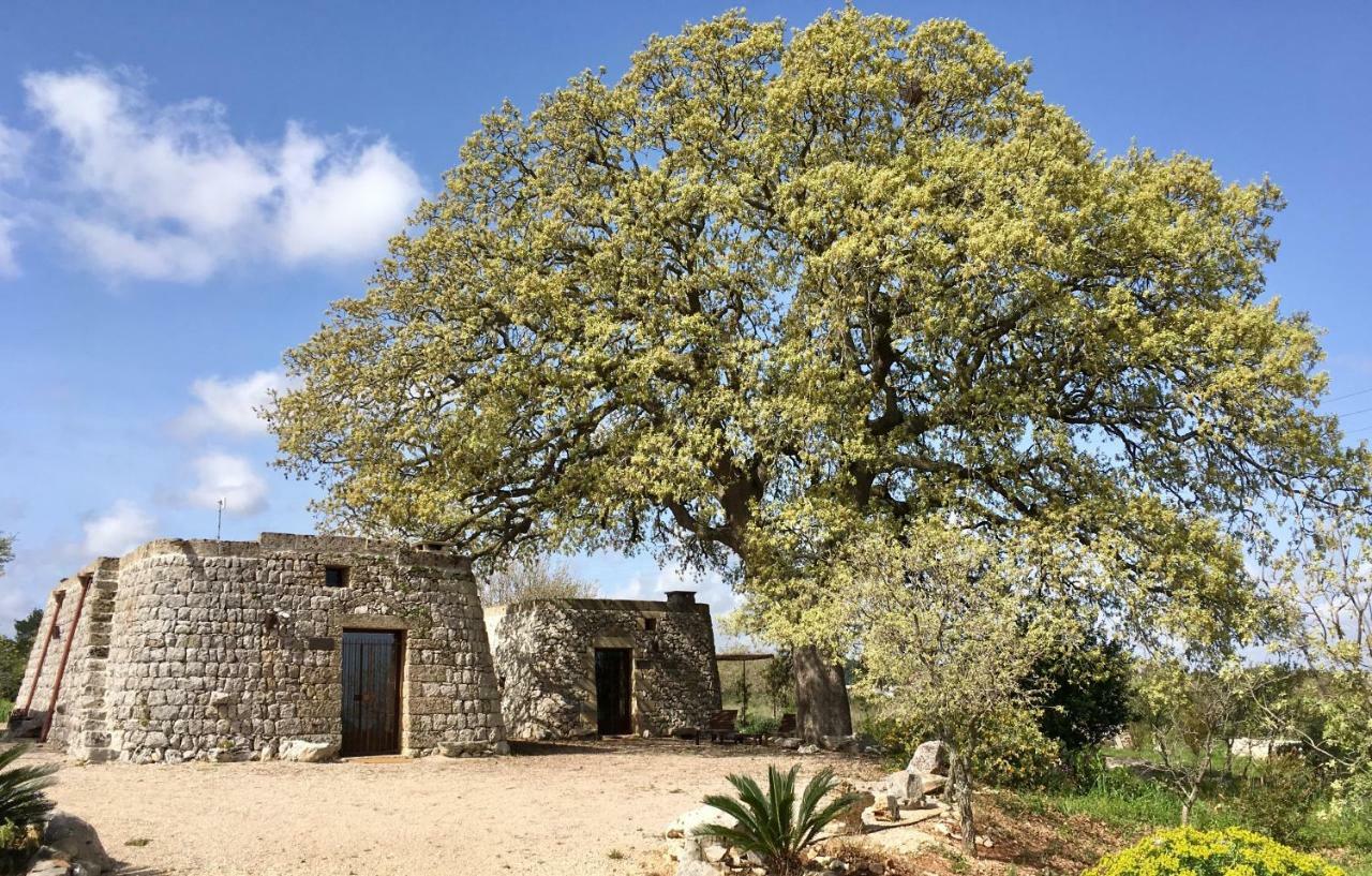 Agriturismo Le Fornelle ทริกาเซ ภายนอก รูปภาพ