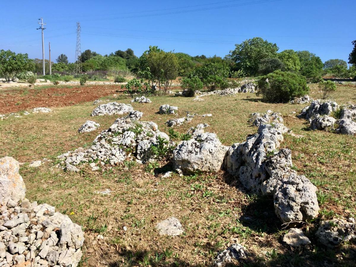 Agriturismo Le Fornelle ทริกาเซ ภายนอก รูปภาพ