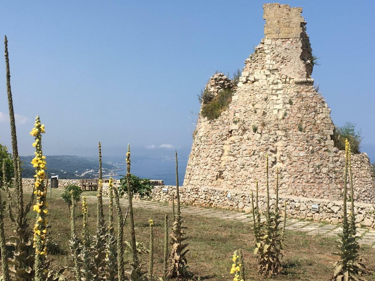 Agriturismo Le Fornelle ทริกาเซ ภายนอก รูปภาพ